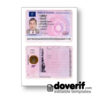 France driving license photoshop template PSD