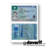 Ireland driving license photoshop template PSD