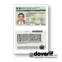 Nigeria driving license photoshop template PSD
