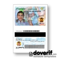 USA Florida driving license photoshop template PSD