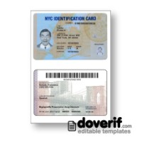 USA New York identity card photoshop template PSD